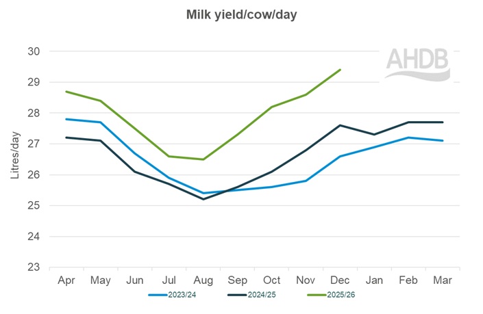 Line graph up to December 2025 for Kingshay Milk yield per cow graph last 3 years.